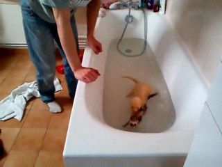 les fufus au bains - 2mn35