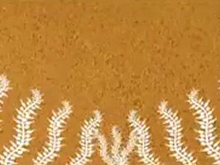 பழங்குடிமக்கள் கலை1-பிறத்தியாள்VDO