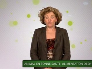 Animal en bonne santé N°3