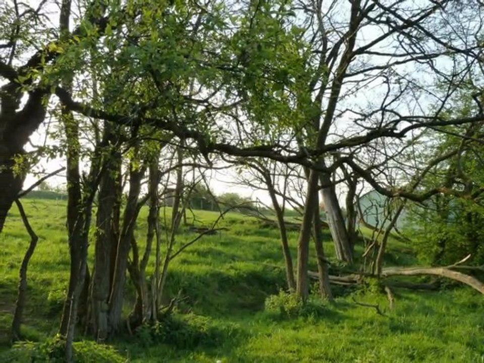 année 2011 - mois d'avril - nº 20