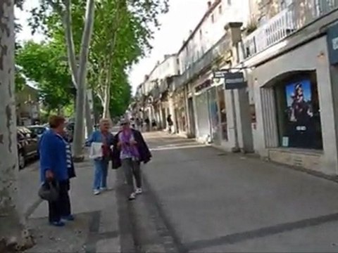 Fleurs de Pavés : les autocollants dans Cahors pendant Cahors Juin Jardins