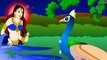 A Story of Peacock - Telugu Animated Stories