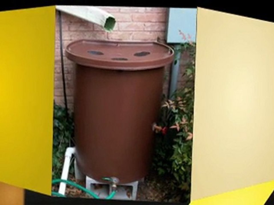 Rain Barrel