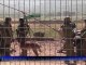 Plateau du Golan: l'armée israélienne reste en alerte