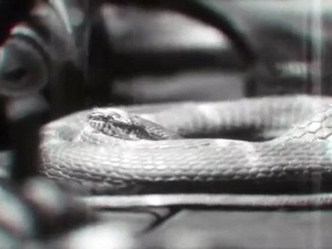 Transformers Dark of the Moon Linkin Park - Iridescent