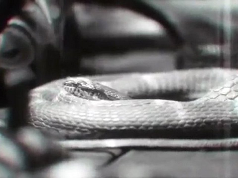 Transformers Dark of the Moon Linkin Park - Iridescent