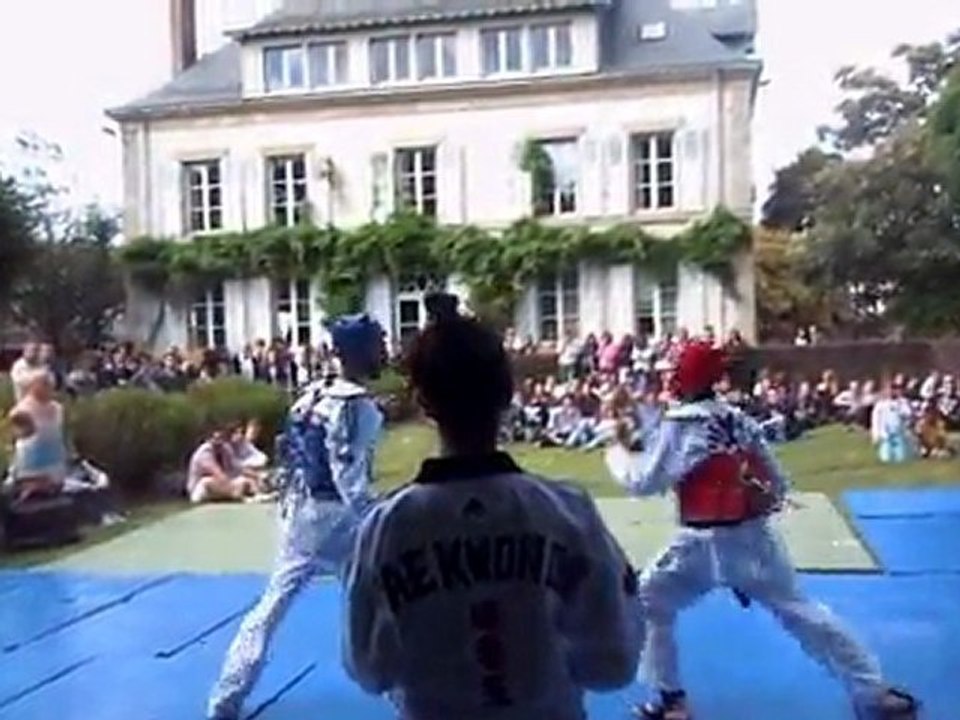 Taekwondo au château