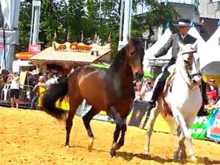 SAM_1358 Euroferia monter et liberter