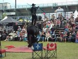 cheval savant au festival western de montreal