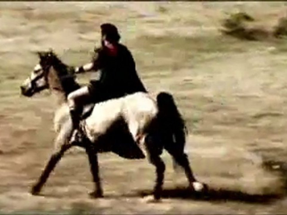 Blood Covenant - The Blood of the New Covenant