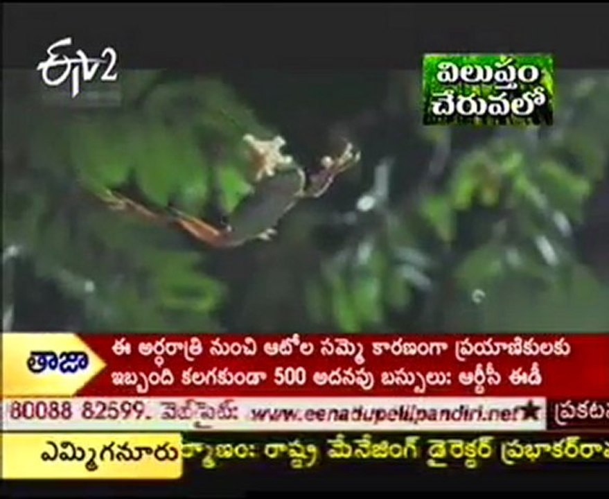 Etv2 idi Sangathi programme -  Animales Special   01