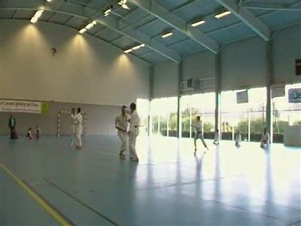 Démonstration shito ryu karate do Guiscard