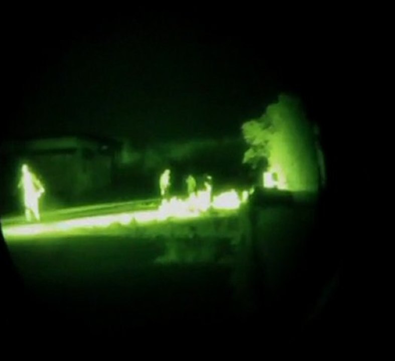 Zombies 2011