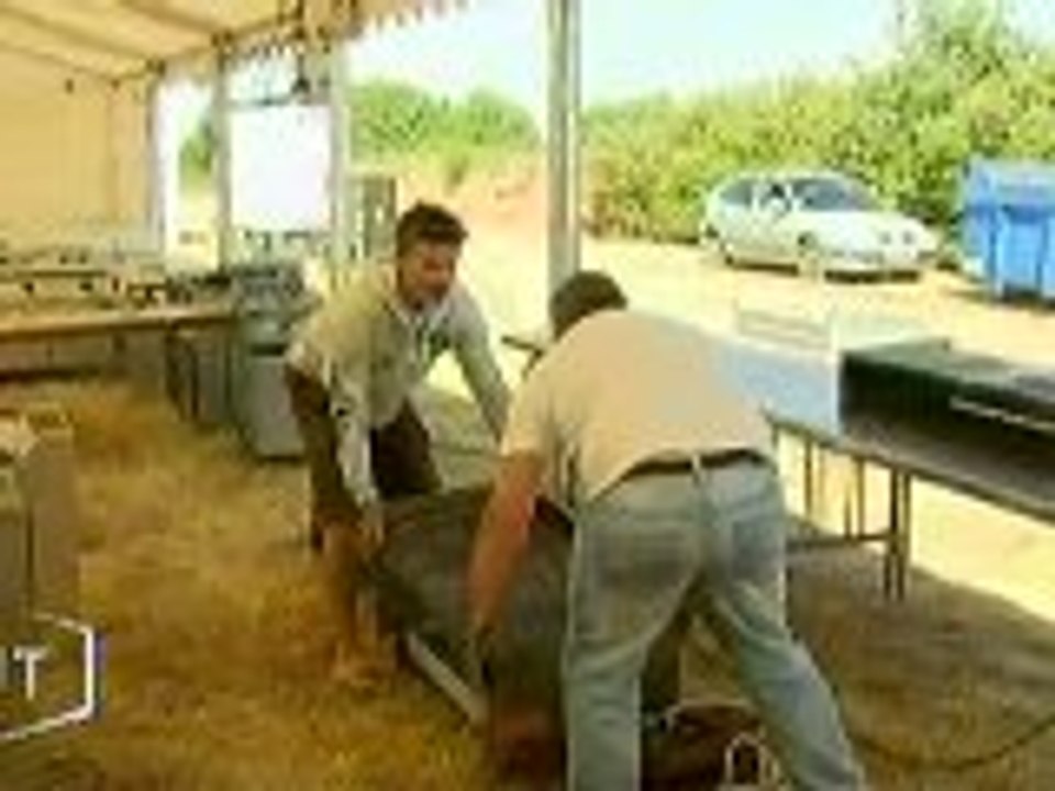 7ème vague : les bénévoles en plein préparatifs (Vendée)