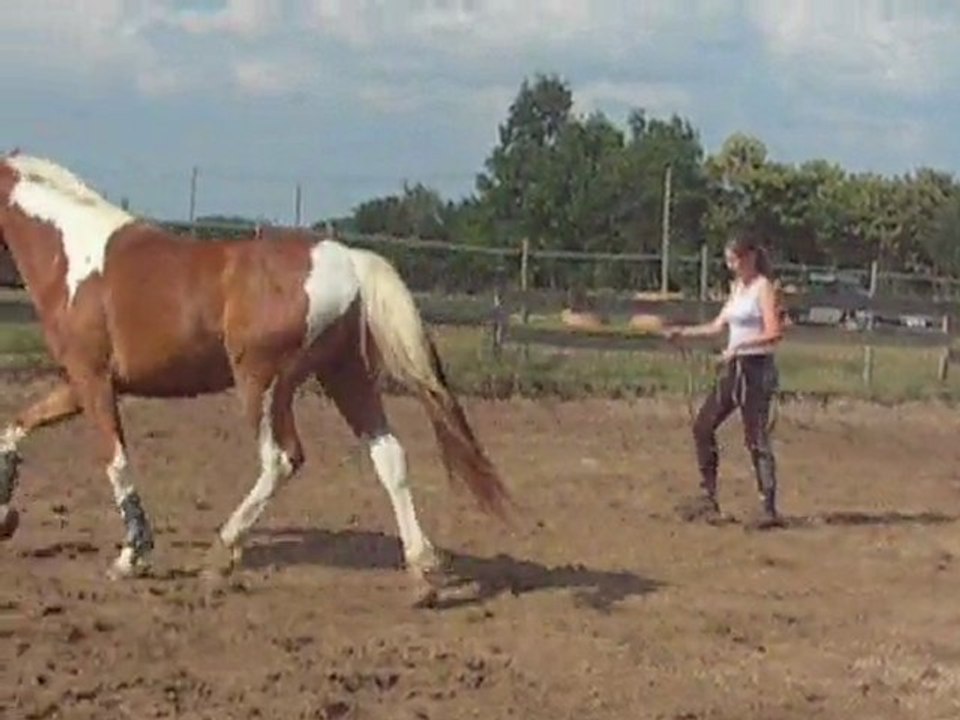 longe liberté trot