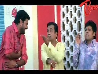 Brahmanandam Playing Cricket scene From Nenunnanu