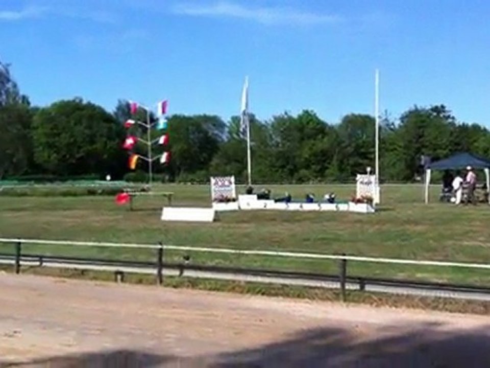 Finale whippets males Munster 2011