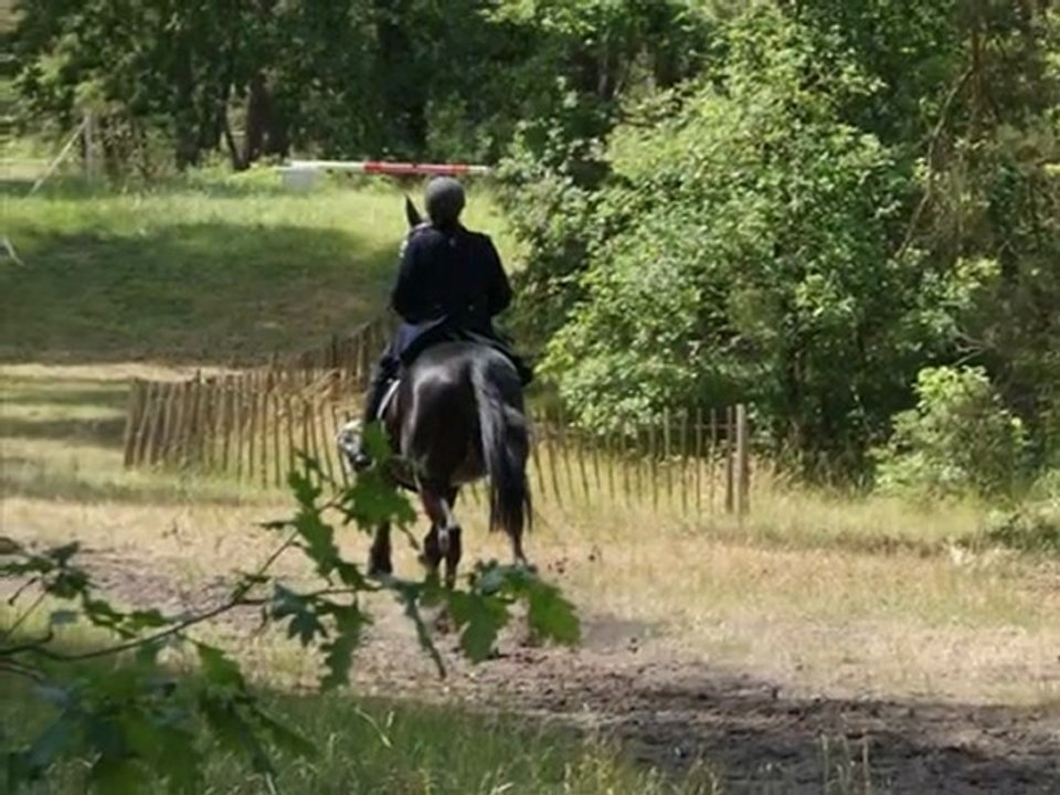 FONTAINEBLEAU2011