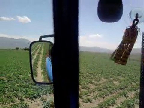 TD 65D patates tarlasından Çölovası Dİnar