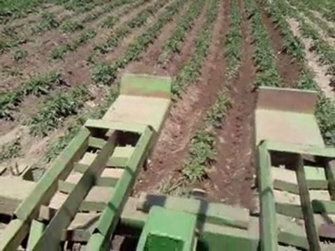 TD 65D patates tarlasından Çölovası Dİnar2