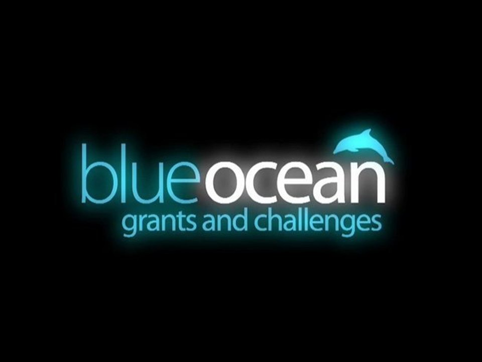 Blue Ocean Grants and Challenges