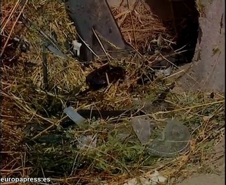 Un menor muere en un accidente de tráfico