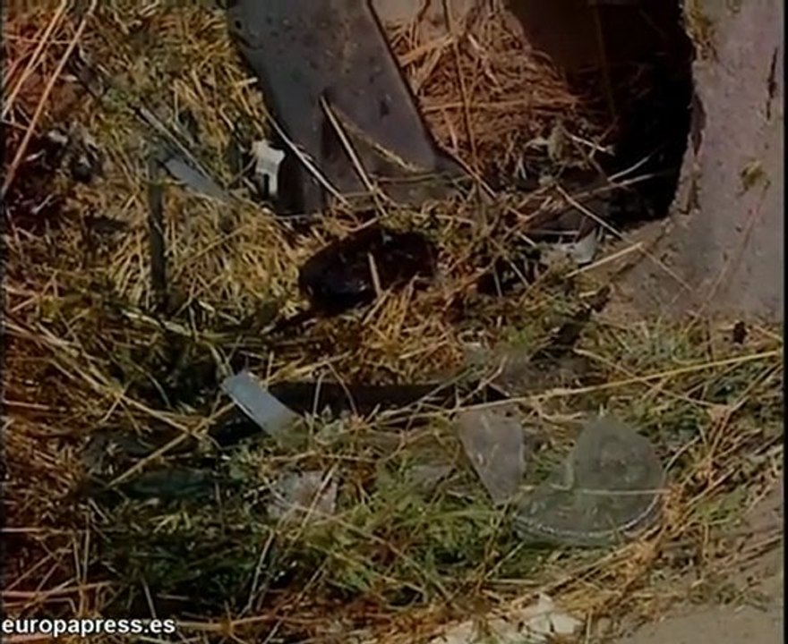 Un menor muere en un accidente de tráfico