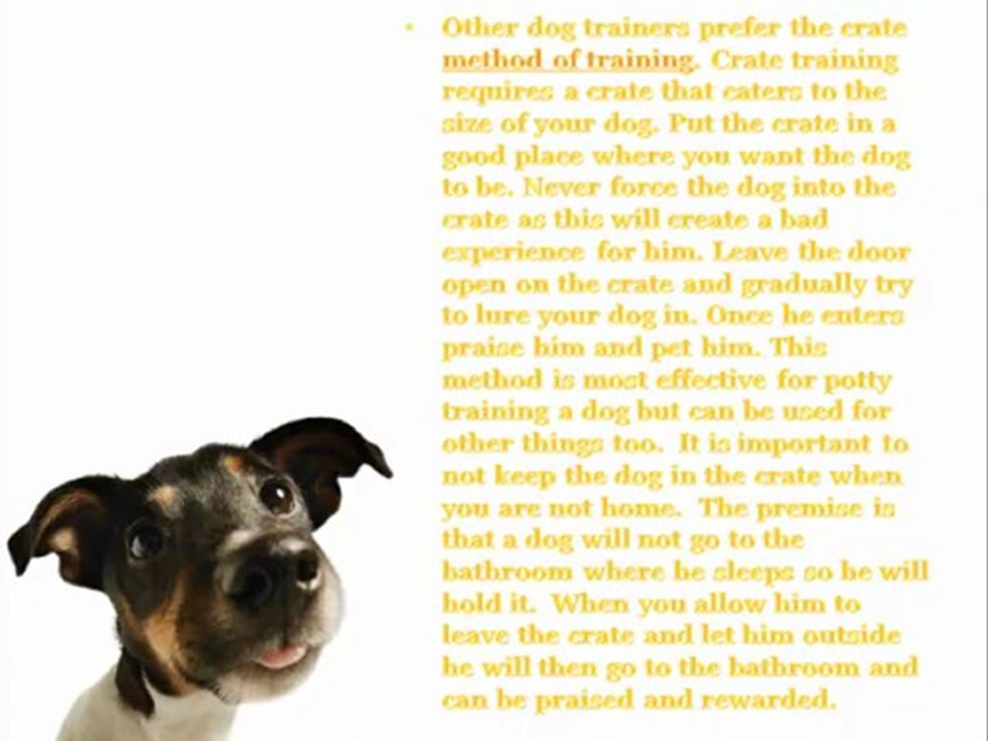 ⁣Effective Dog Training Techniques