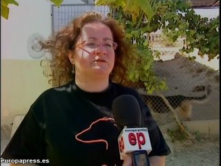 El microchip y la crisis desbordan las perreras