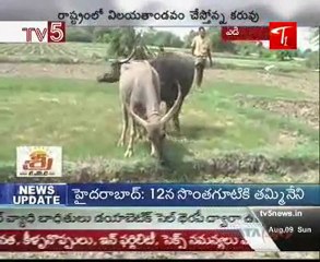 After drought, its deluge in Andhra Pradesh - TV5 News @ 07AM 09th August 2009 Part02