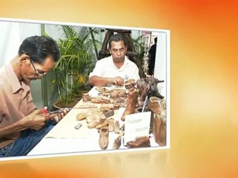 Online India Shopping for Fashion Clothing Jewellery & Gifts