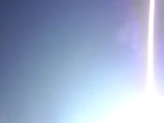 2 Yaşında Boz Dumanlı Dişi