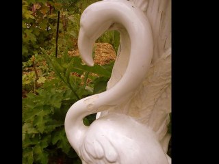 ce duel  de fer ...contre Nature ...cette phobie en béton