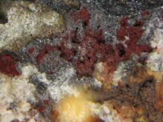 Outcrops and Ores to be watching for when out prospecting.