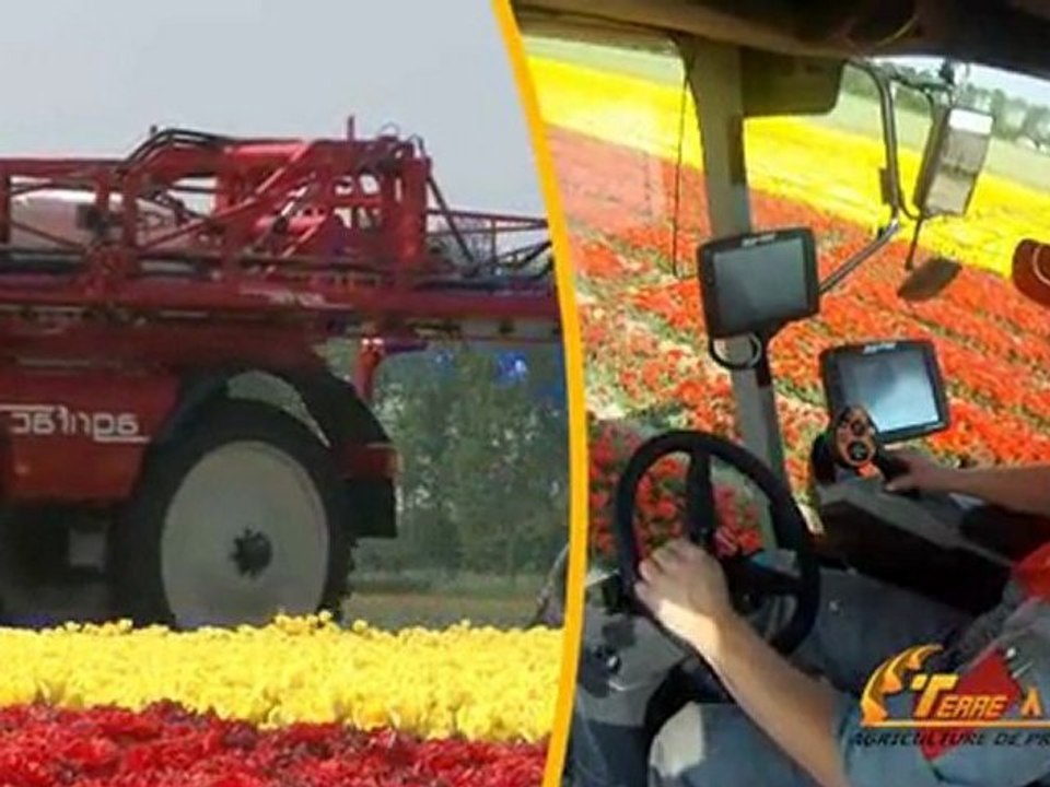 Essai Terre à Terre 2011 - Profil de Jonqsma Yntre - « Economie, confort et crédibilité pour de nouveaux clients agriculteurs »