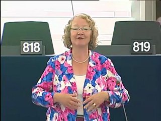Gesine Meissner on Charging of heavy goods vehicles