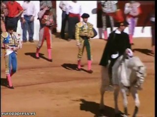Toreros y futbolistas, los más elegantes