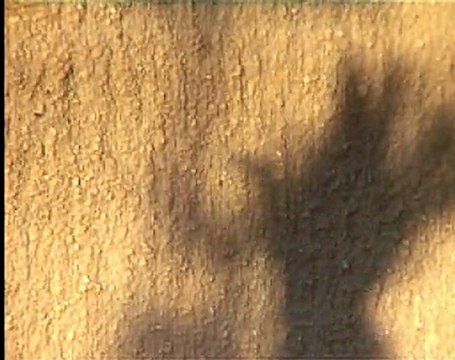 ANNEES 80 de Chantal Cavenel et Augustin Colombani