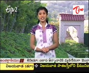 ETV2 Special programs  - Oura - 01