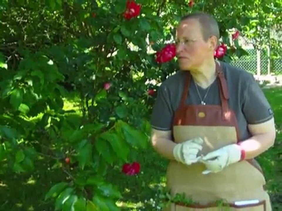 Bêtisier de "Moi, j'aime les mauvaises herbes !"