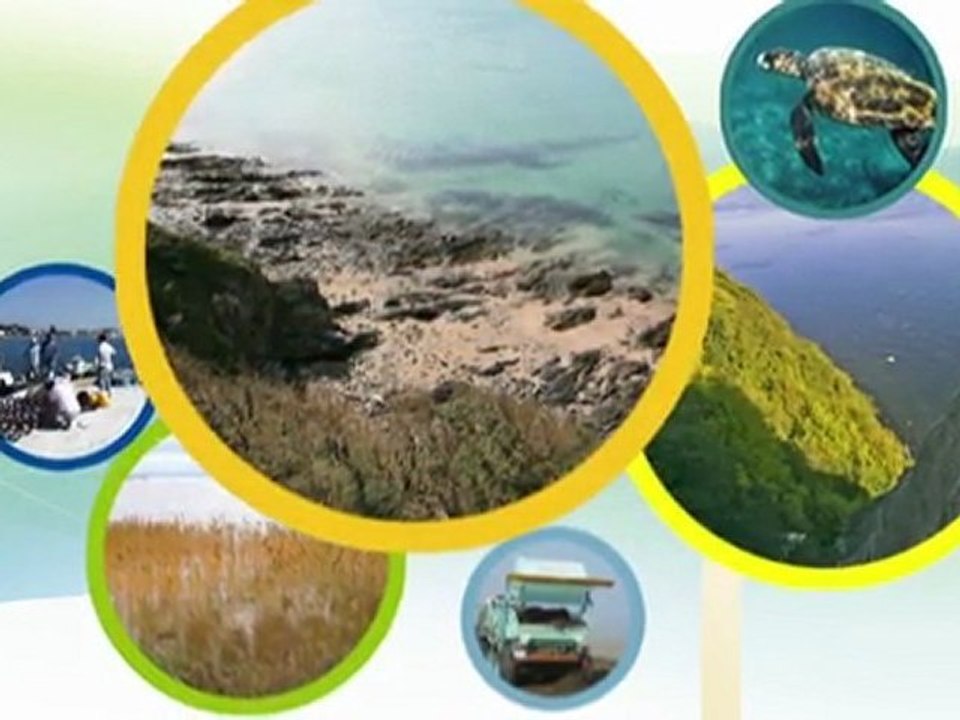 LIFE+ Environment Policy & Governance