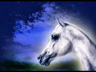 ❦Horse With no Name❦America❦