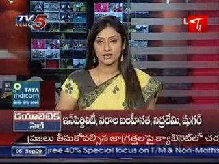 Minister Geetha Reddy Press Meet on Cabinet Meeting