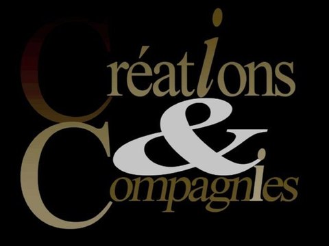 TEASER Stage International de Danse de LYON 2011