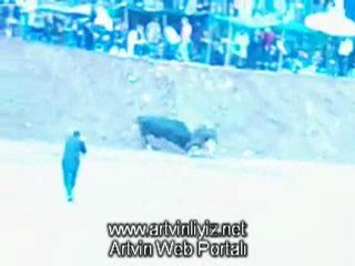 Murgul 1.Damar Karagöl Boğa Güreşleri Video 2011