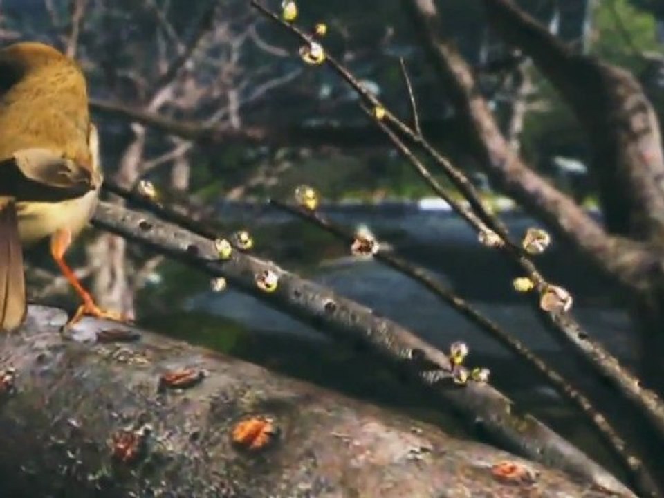 Trailer des capacités techniques de la Wii U