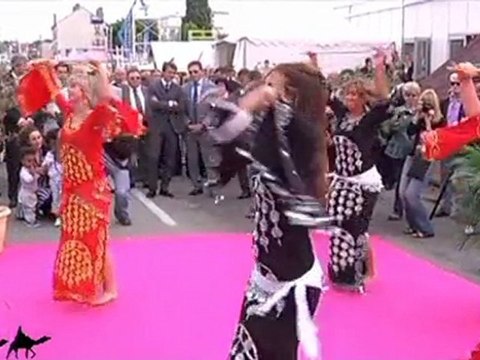 Foires de Champagne 2011, le mag du 06/06/2011