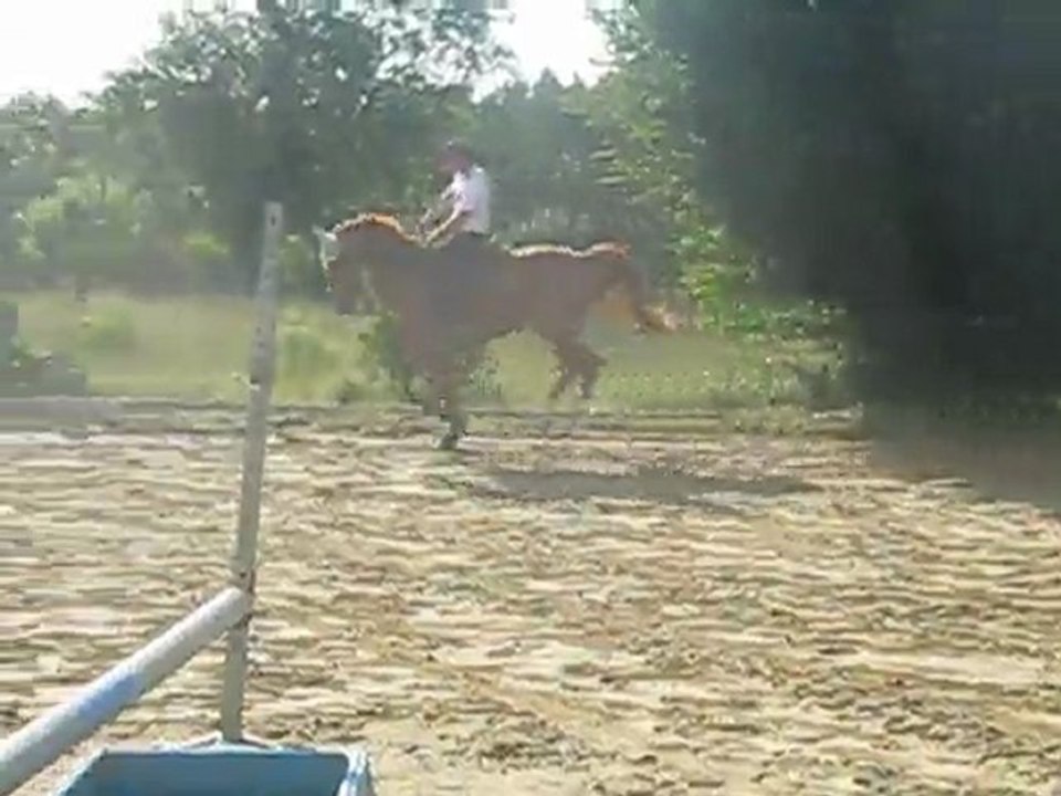 galop
