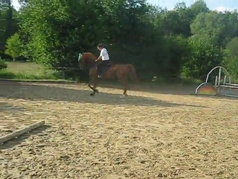 trot
