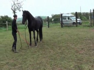 Anabelle des Puys stage lib suite 01 mai 2011